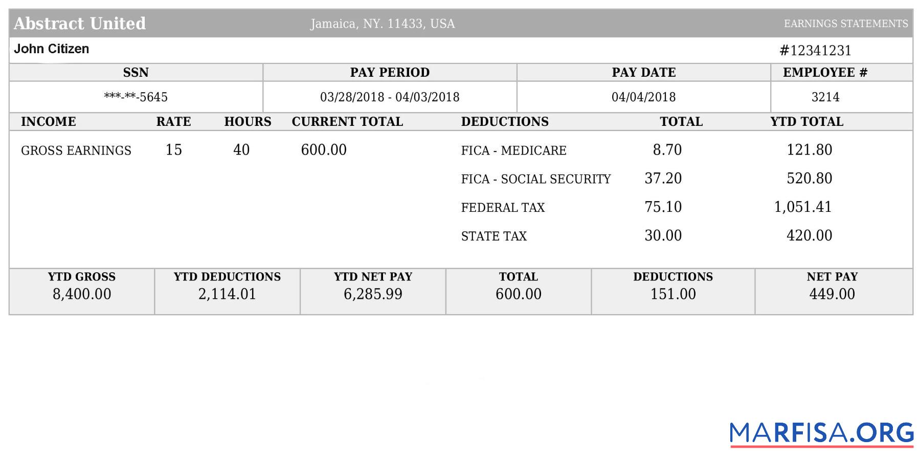 Blank USA Abstract united payslip formats download for verification